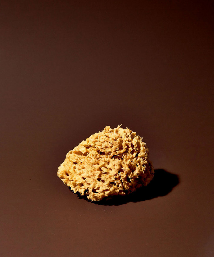 Éponge de Mer Mahdia 8cm
