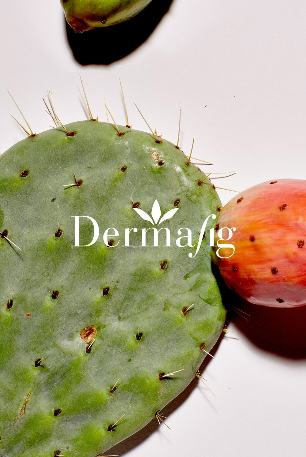 Dermafig